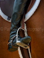 Equestrian Event Gallery 1