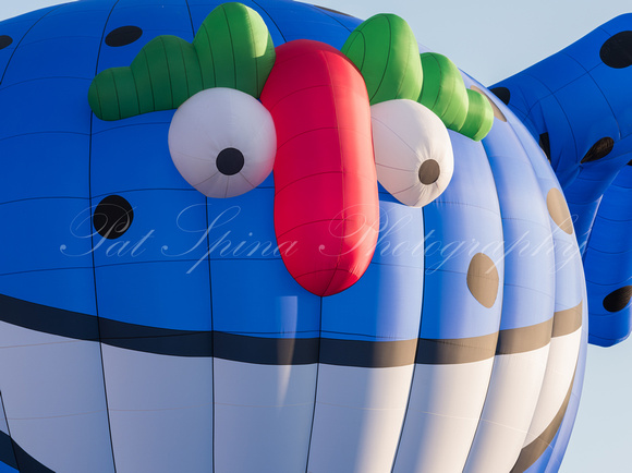 Hot Air Ballon Festival-9597